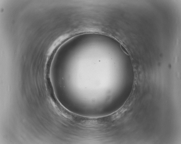 X0000056020104200508261851