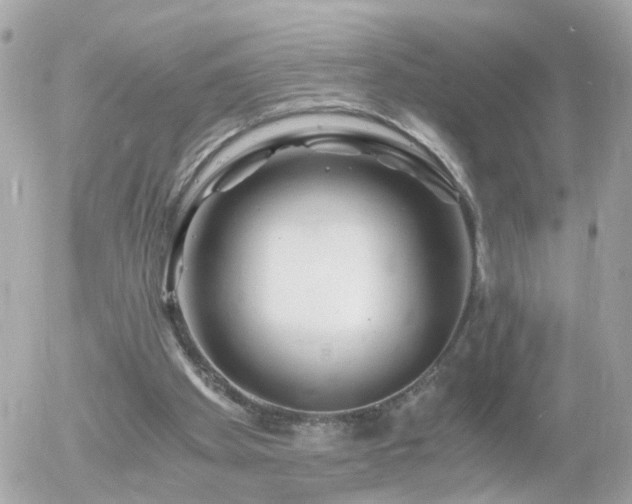 X0000056020105200508261851
