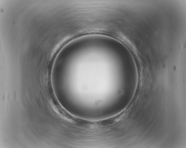 X0000056020107200508261851