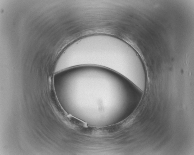 X0000056020109200508261851