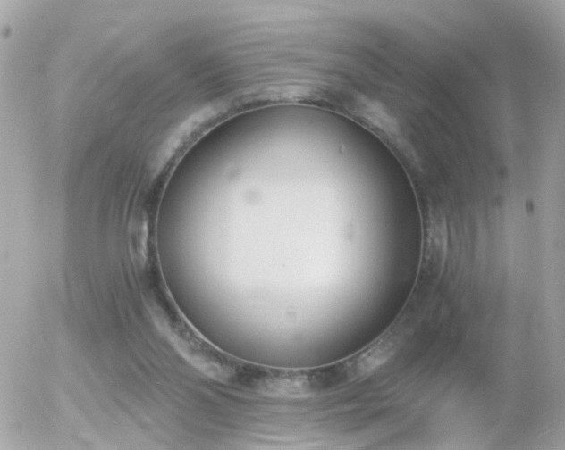 X0000056020110200508261851