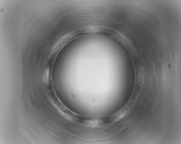 X0000056020118200508261851