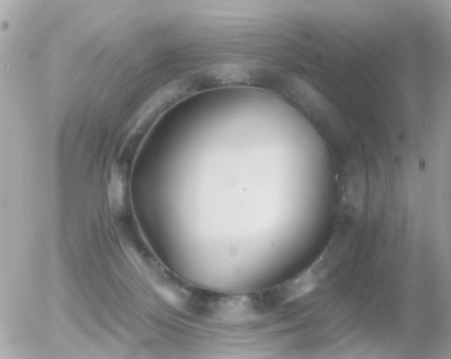 X0000056020124200508261851
