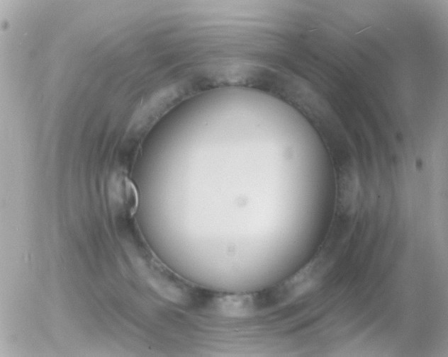 X0000056020126200508261851