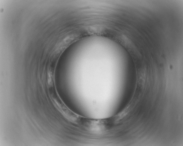 X0000056020130200508261851