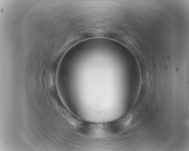 X0000056020131200508261851