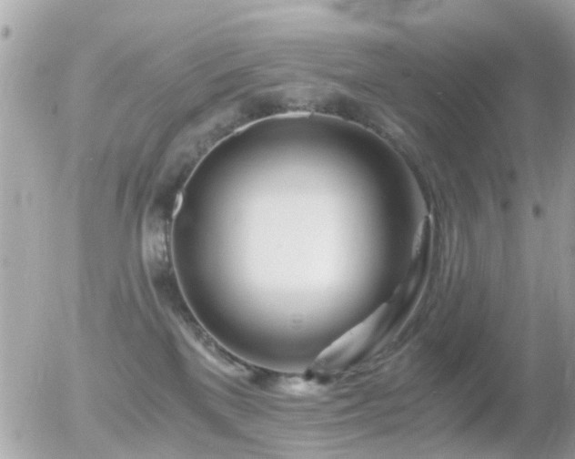 X0000056020137200508261851