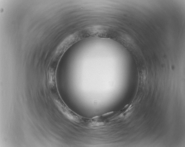 X0000056020138200508261851