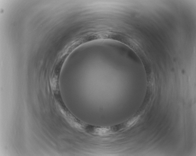 X0000056020139200508261851
