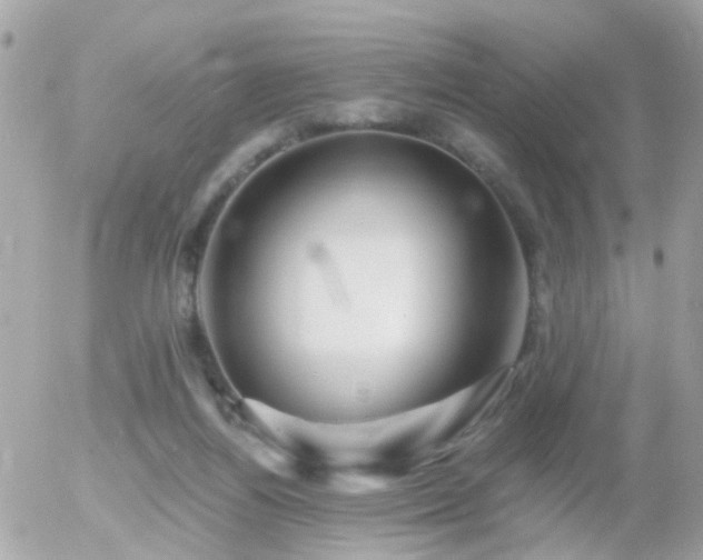 X0000056020164200508261850