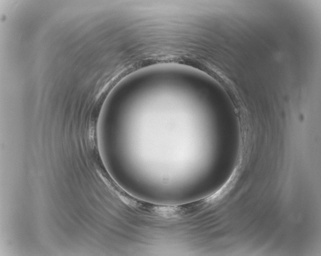 X0000056020192200508261851