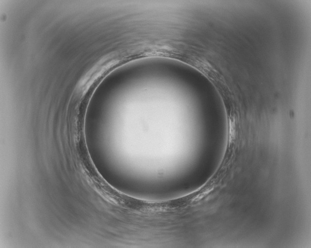 X0000056020291200508261848