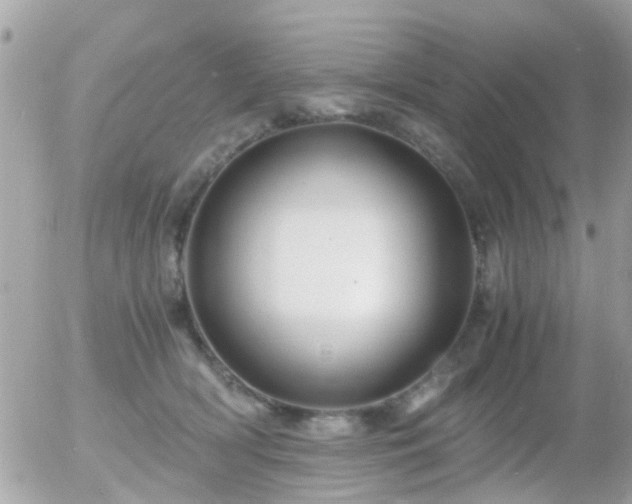 X0000056020418200508261846