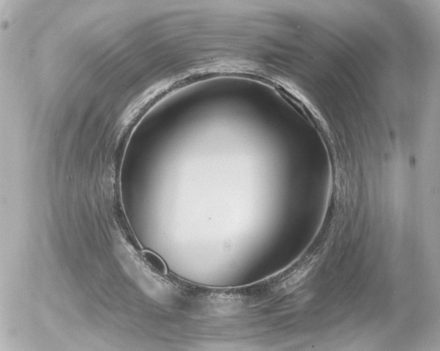 X0000056020437200508261845