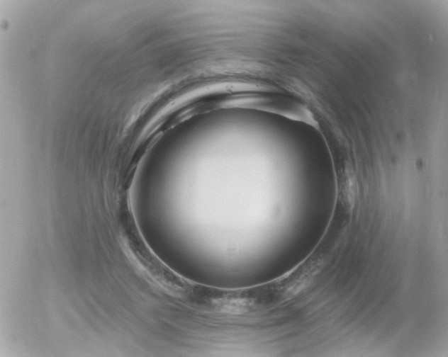X0000056020448200508261845