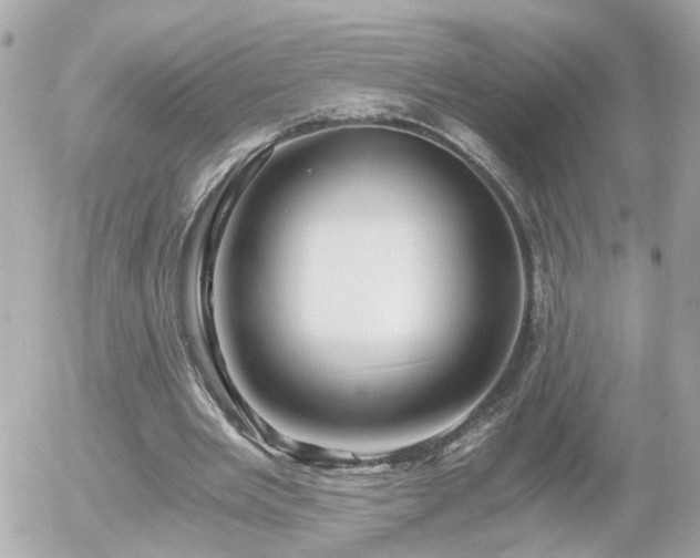 X0000056020485200508261845