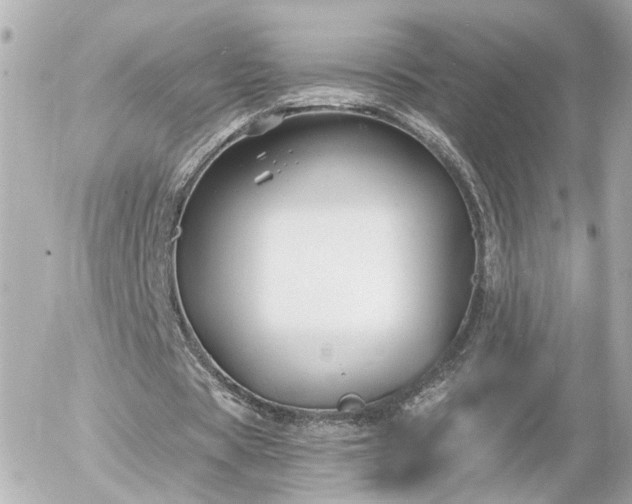 X0000056020529200508261843