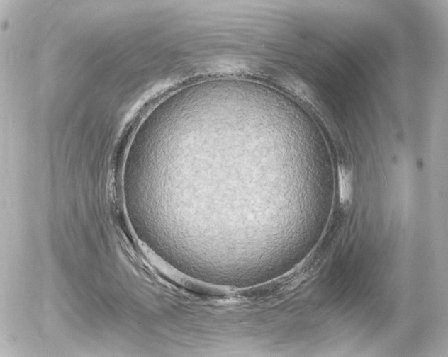 X0000056020579200508261843