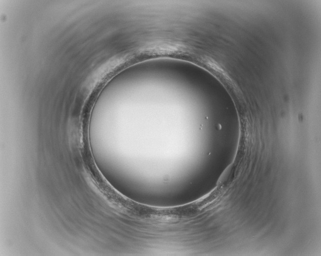 X0000056020582200508261843