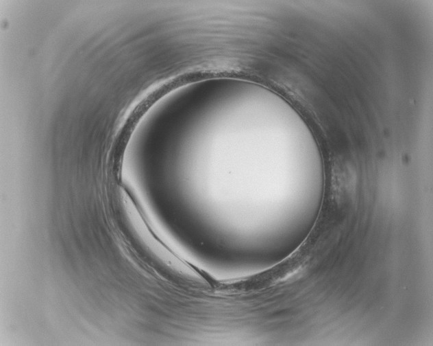 X0000056020584200508261843