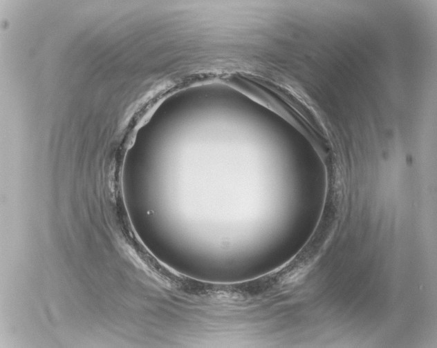 X0000056020585200508261843