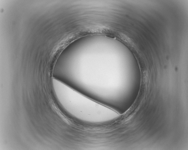 X0000056020589200508261843