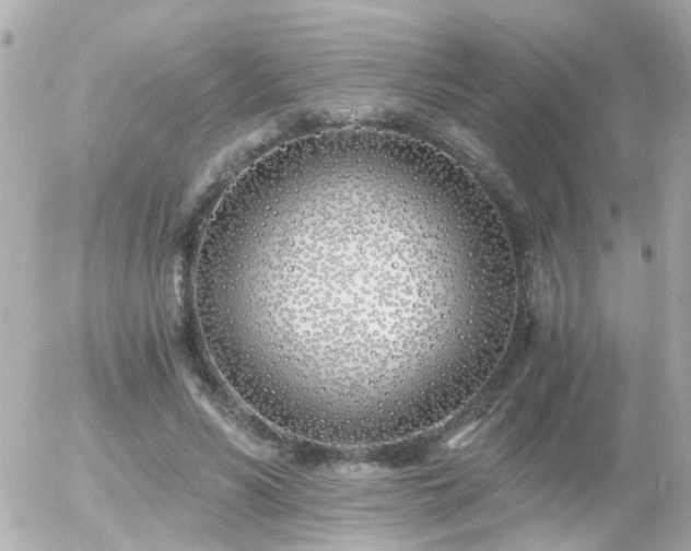 X0000056020590200508261843