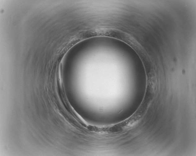 X0000056020593200508261843