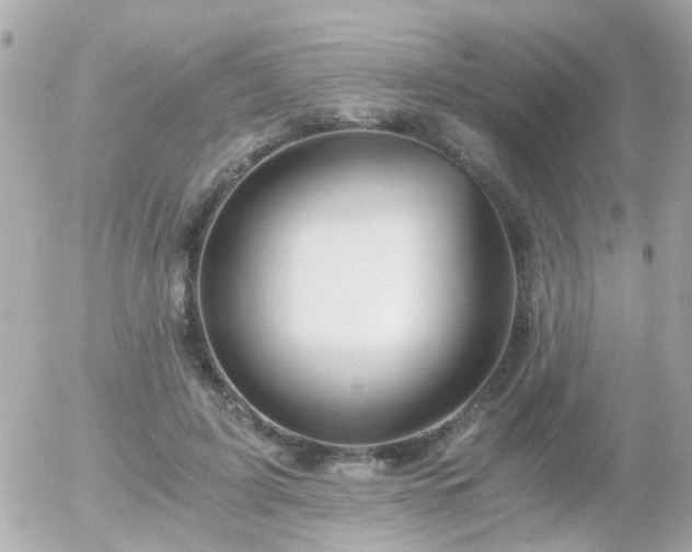 X0000056020595200508261843