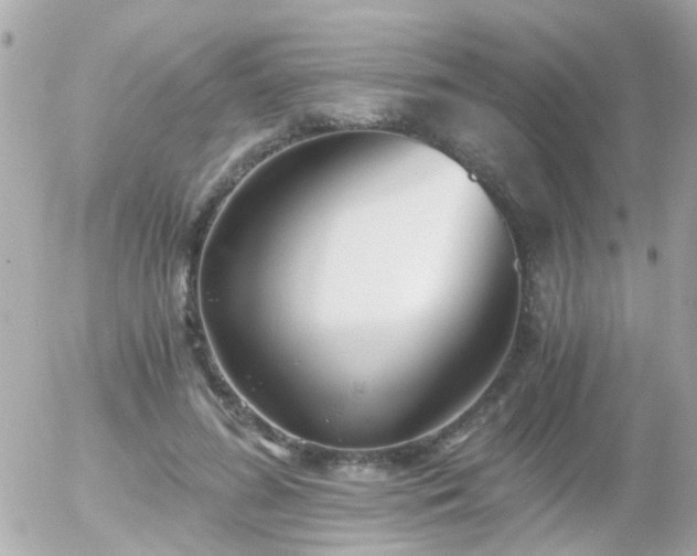 X0000056020596200508261843