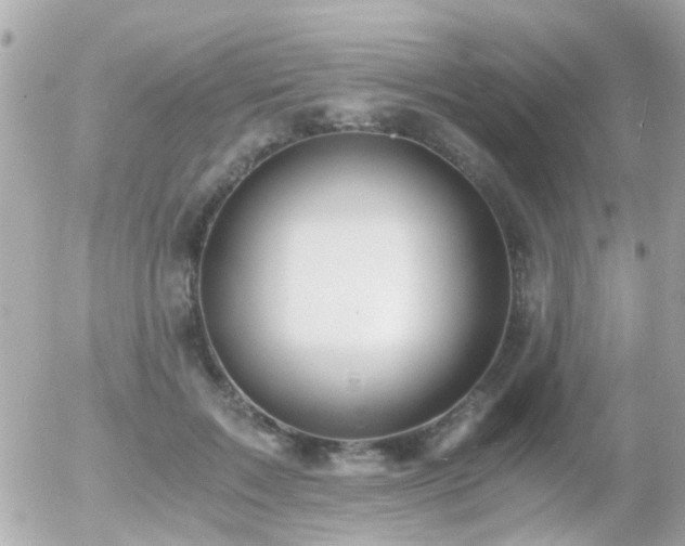 X0000056020603200508261843