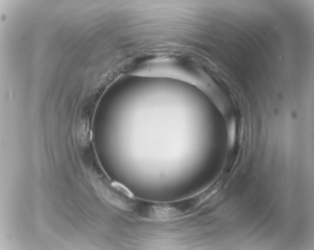 X0000056020605200508261843