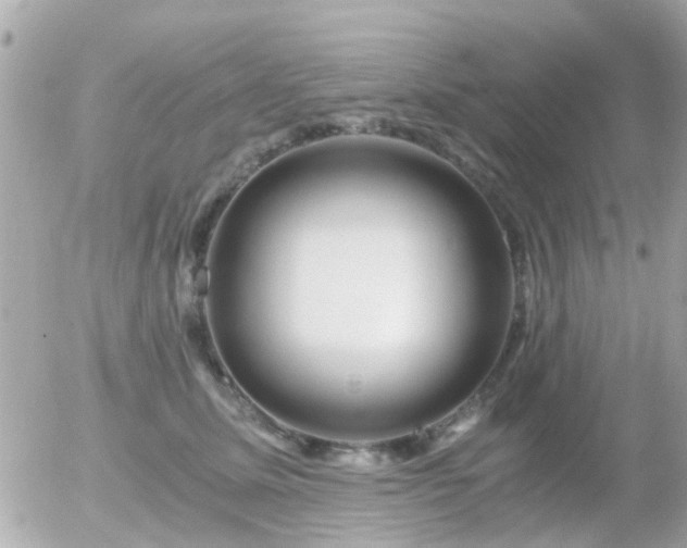 X0000056020611200508261843