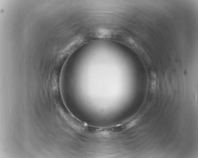 X0000056020620200508261843