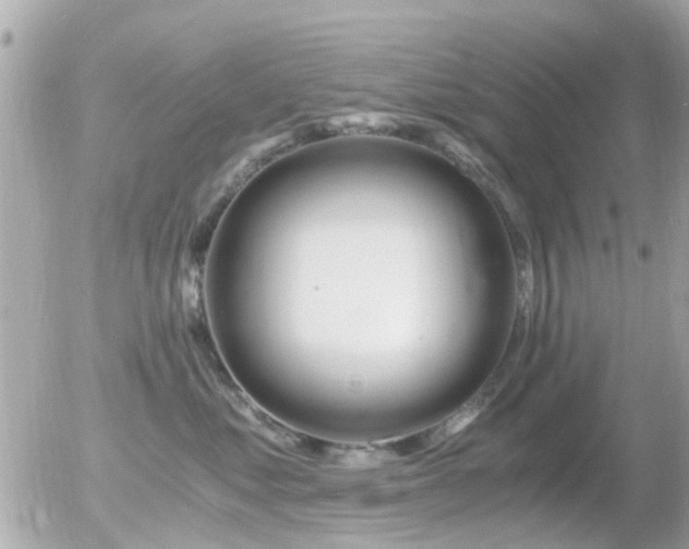 X0000056020621200508261843