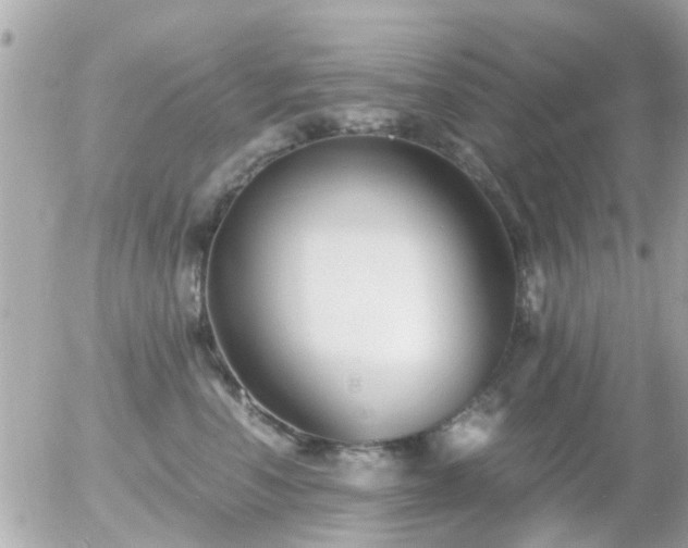 X0000056020666200508261843