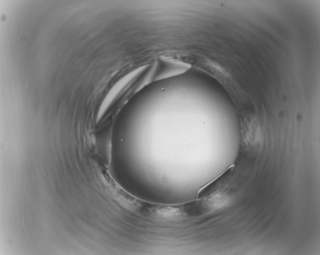 X0000056020669200508261843