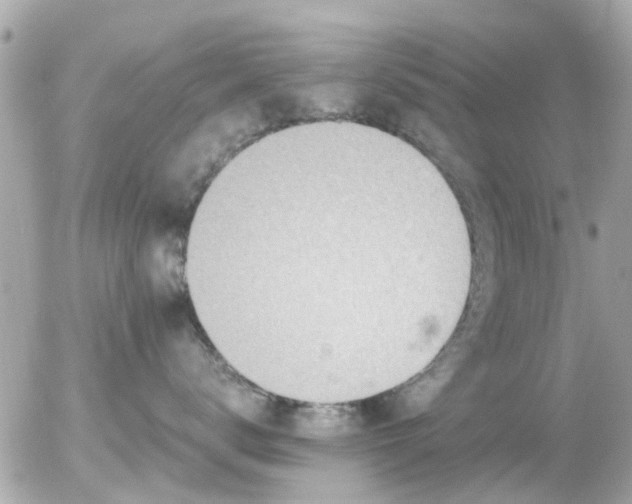 X0000056020672200508261843