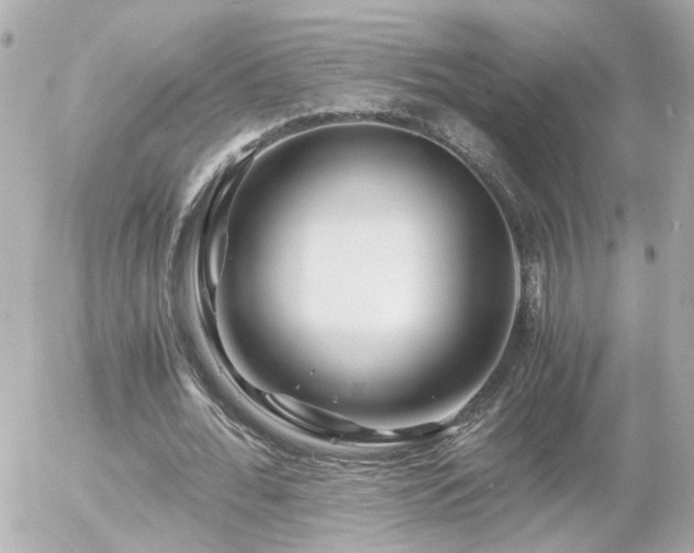 X0000056020676200508261842
