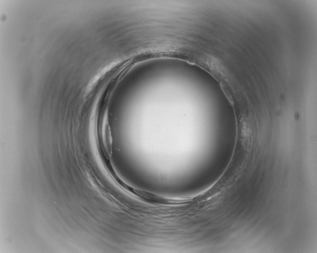 X0000056020684200508261842