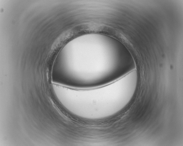 X0000056020685200508261842
