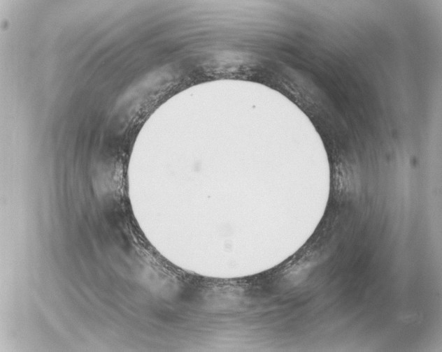 X0000056020820200508261839