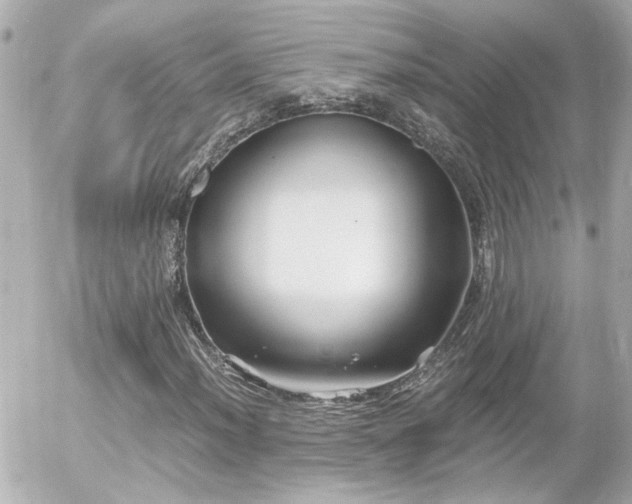 X0000056021012200508261835