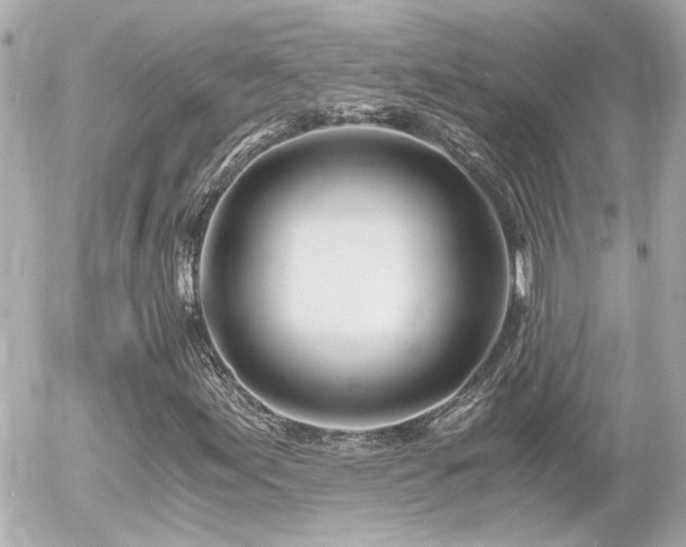 X0000056021155200508261834