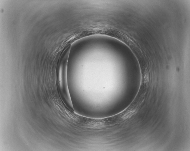 X0000056021156200508261834