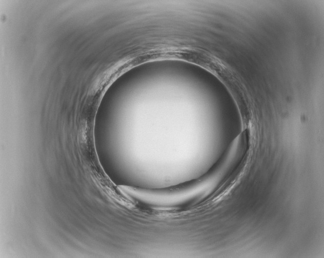 X0000056021161200508261834