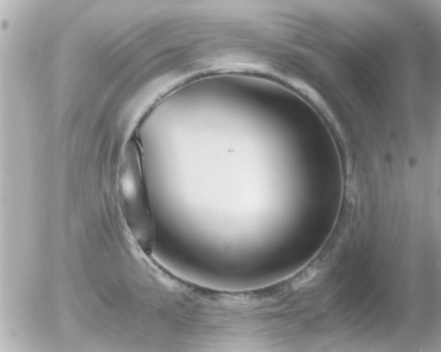 X0000056021191200508261833