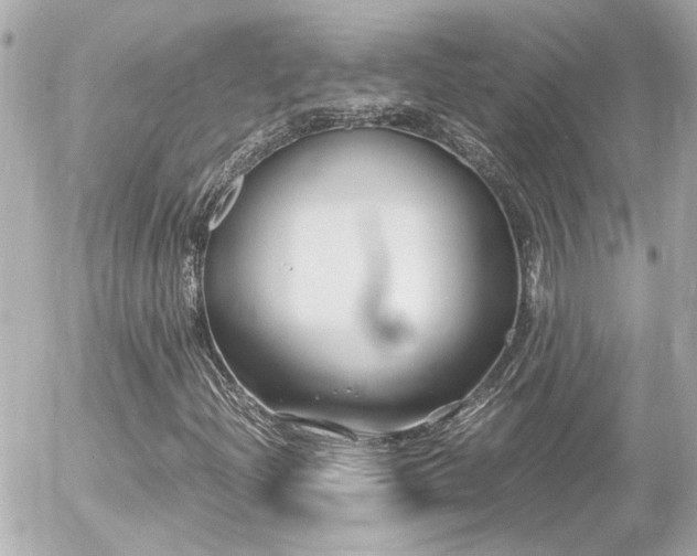 X0000056021204200508261832