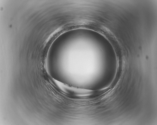 X0000056021210200508261832