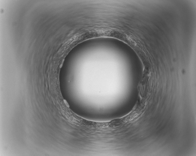 X0000056021249200508261832